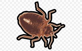 Their short body is covered by a thick exoskeleton. Insect Crab Bed Bug Image Scanner Png 512x512px Insect Android Ape App Store Arthropod Download Free