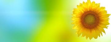 Banner Background Hd Free Stock Photos Download 10 435 Free Stock Photos For Commercial Use Format Hd High Resolution Jpg Images