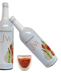 Arnhem Gelderland Nuskin Green Smoothie Prep Aging Signs