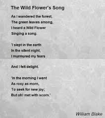 Wild Flower S Song William Blake Poems Flower Poem William Blake Poems