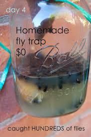 It's just there to trap flies in the jar before they face their demise in the apple cider vinegar/soap tell me, do y'all have fruit flies in abundance? The Best Homemade Fly Trap Diy Homemade Fly Traps Diy Fly Trap Fly Traps