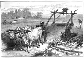 Changing land ownership, agricultural ...
