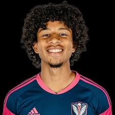 Description sought of vehicle or driver that struck and killed Tormenta  player