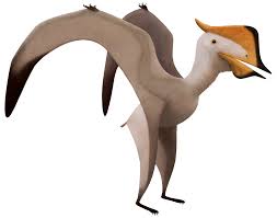 Image result for Sinopteridaceae