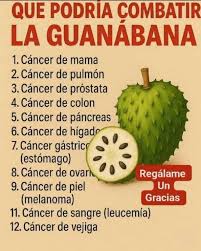 EL ESCUDO TROPICAL QUE TU CUERPO NECESITA CONOCER