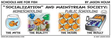 Homeschool Homeschooling Humor Comic Cartoon Homeschool Humor Homeschool Vs Public School Homeschool