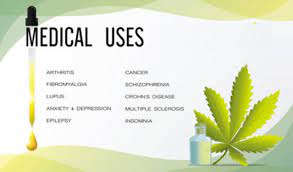 If there is a question you don't understand or are not quite sure how to answer, leave it blank. Benefits Of Medical Marijuana And Its Card In Florida Medical Marijuana Clinic Florida