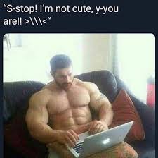 S Stop I M Not Cute Buff Guys Typing On Laptops Why Yes How Could You Tell Know Your Meme