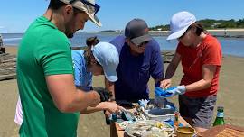 Oyster Farm Tour