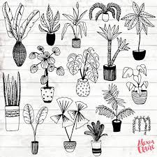 Black And White Line Art Plant Clipart House Plant Clipart Hand Drawn Plants Clipart Potted Plant Etsy How To Draw Hands Plant Doodle Plant Art
