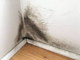 Assessing a shower for hidden mold is difficult. Where Does Mold Hide