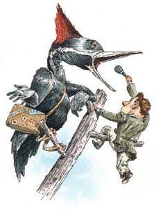 Look Homeward, 'Pecker
