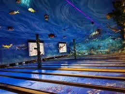 Click on address for map and directions. Uncle Buck S Fishbowl Grill Closed 164 Photos 227 Reviews Seafood 7905 S Hosmer St Tacoma Wa United States Restaurant Reviews Phone Number Menu