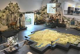 A Nature Museum Combines Context Sensitivity And Harsh Stylepark In 2021 Nature Museum Museum Exhibition Space