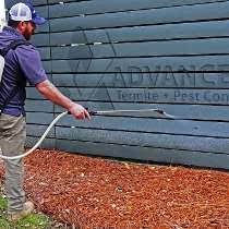 We offer charleston pest control services, locally owned and operated by your friends and neighbors. Pest Control In Charleston S Advanced Termite Pest Control Office Photo Glassdoor Co In