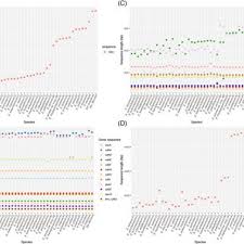Image result for Elatostema welwitschii