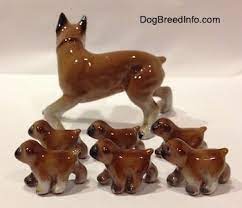 Get great deals on ebay! Boxer Dog Figurine Repaired As Found At The Market Made In Japan Figurines Knick Knacks Art Collectibles Delage Com Br