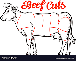 Beef Chart Meat Cuts Or Butcher Shop