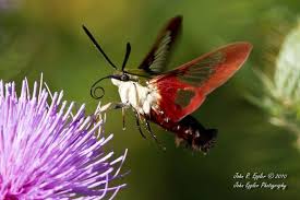 Check spelling or type a new query. Masamunes16 Masamunes16 Profile Pinterest