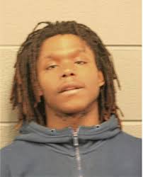 ᐅ Illinois Criminal Records 2009-2026