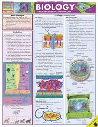 Biology Quick Review Study Guide For All Students In 2020 Study Biology Biology College Biology Classroom