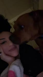 Sauce Vegan Ristoranté