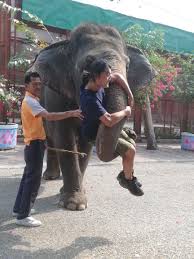 アニオタ旅人 聴覚障害者 おしゃれまとめの人気アイデア pinterest seitogalaxy 世界一周 旅人 世界