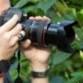 Beginner Macro Photography event in Westminster, CO