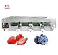 Blueberry Sorting Machine: High-Accuracy Fruit Grading