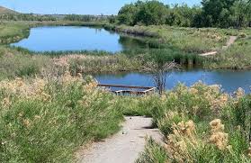 Chatfield Wetlands, Colorado