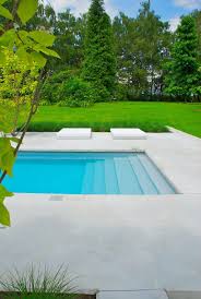 skimmer zwembad elzen zwembaden zwembad achtertuin tuin zwembad tuin design