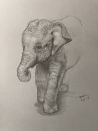 Drawing Pencil Portraits Beautiful Pencil Drawing Artwork Discover The Secrets Of Drawing Realisti Beautiful Pencil Drawings Elephant Drawing Animal Drawings