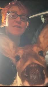 We have some very friendly deer in the county as this young doe high-fived  our Deputies this afternoon.