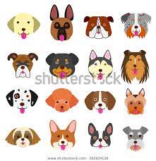 Cute Dogs Faces Set Stock Vector Royalty Free 562834108 Cute Dog Drawing Cute Animals With Funny Captions Dog Face