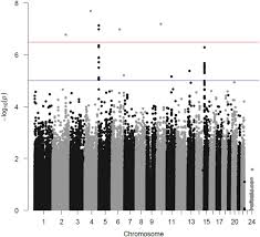 Trait d'union france madagascar est une association française loi 1901, disposant d'un accord de siège à madagascar. A Gwas In Uveal Melanoma Identifies Risk Polymorphisms In The Clptm1l Locus Npj Genomic Medicine