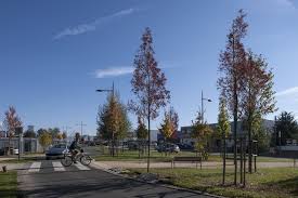 Espace Public Saint Berthevin C Patrick Miara Paysage Urbanisme Espace Public