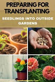 We did not find results for: Indoor Timing For Starting Flower Seeds Farmfoodfamily Planting Seeds Indoors Gardening For Beginners When To Plant Seeds