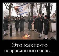 ЧЕМ ПИОНЕРЫ ОТЛИЧАЮТСЯ ОТ ЕВРЕЕВР ИЗ СВОИХ ЛАГЕРЕЙ / в чем разница ::  пионеры :: концлагеря :: евреи / смешные картинки и другие приколы:  комиксы, гиф анимация, видео, лучший интеллектуальный юмор.