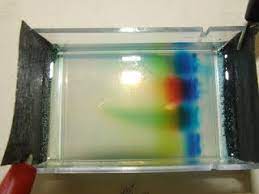 It is used in clinical chemistry to separate proteins by charge or size (ief agarose, essentially size independent). Dna 3 Gel Electrophoresis Crime Scene