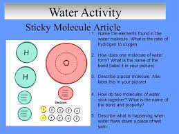 Name the elements found in the water molecule. The Extraordinary Properties Of Water Water Threea Water Molecule H 2 O Is Made Up Of Three Atoms One Oxygen And Two Hydrogen H H O Ppt Download