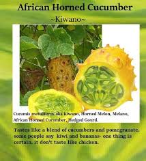 Michael chu discusses african horned melon or kiwano. Jelly Melon Planting Guide Luv2garden Com Kiwi And Banana Companion Gardening Planting Vegetables