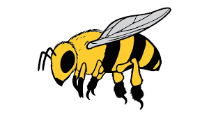 Ich kenne die weise, ich kenne den text, ich kenn auch die herren verfasser; Wie Zeichnet Man Eine Biene Tiere Youtube