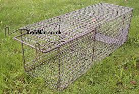 Sometimes cats avoid common cage traps due to restrictive size. Cat Trap Trap Man Feral Cat Trap Humane And Effective Feral Cat Trap How To Catch A Feral Cat Using The Trap Man Live Catch Humane Feral Cat Trap Cage The Trap Man
