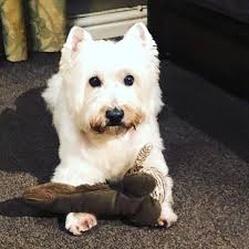 Fast Food Freddy is alive and doing well! 💕