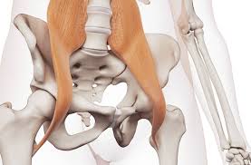 If you are suffering from a stiff, aching hip, there's a chance that you have developed bursitis. Unlocking Tight Hips Shefford Osteopathic Clinic