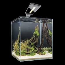 Microvue3 Aquarium Kit Nano Aquarium Aquarium Aquarium Kit