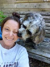 Josie's Dog walking and drop in service.