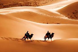 Check spelling or type a new query. Jadi Rumah Dinosaurus Ini 7 Gurun Terluas Di Dunia