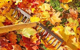 Image result for outside home maintenance in fall