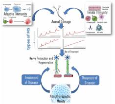 These drugs are among the most commonly prescribed medications to treat ms. A Review On Nanotechnology Based Innovations In Diagnosis And Treatment Of Multiple Sclerosis Sciencedirect